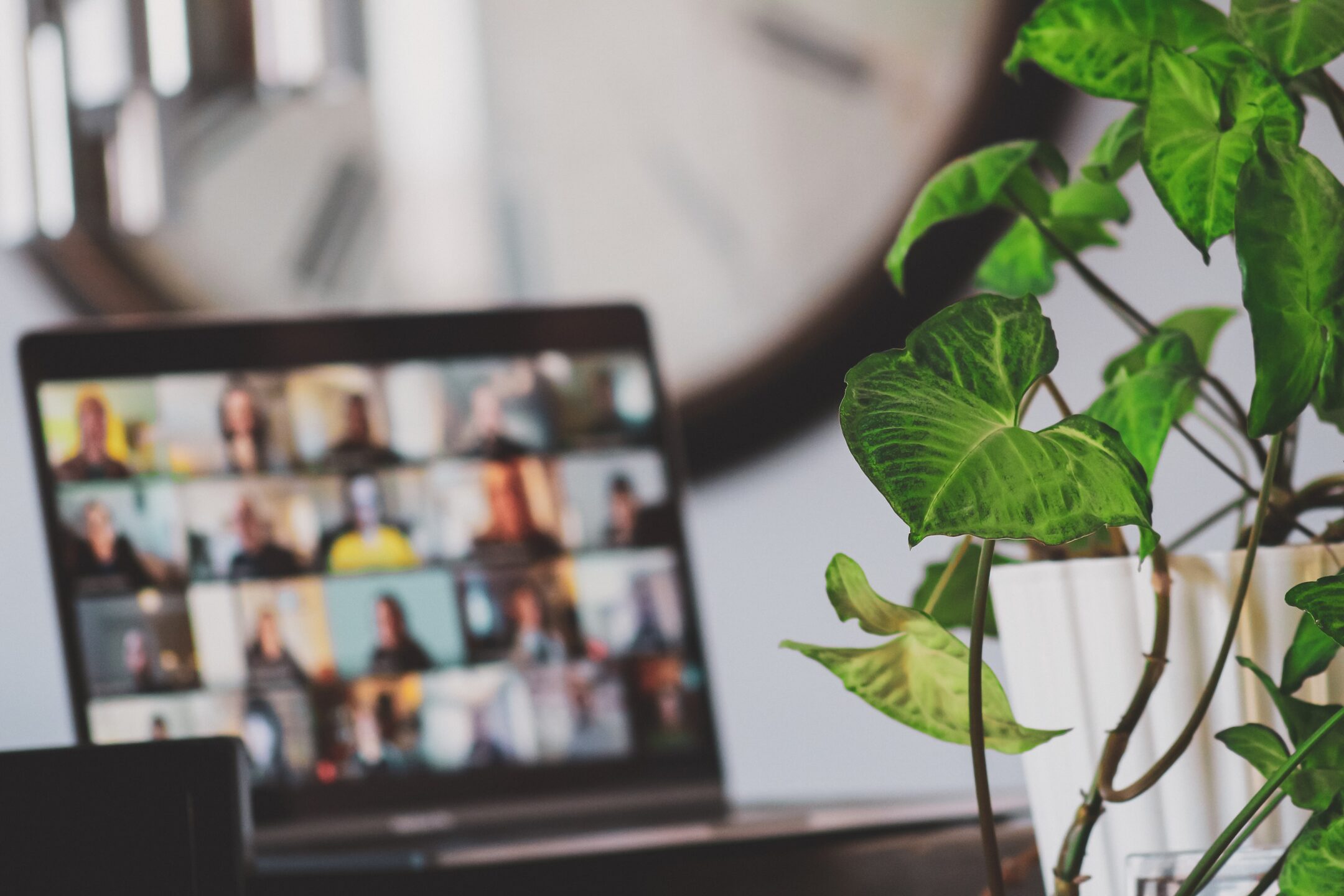 image of a laptop on a video call